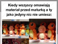 Materiał przed maturką