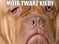 Moja twarz