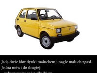 Dwie BLONDYNKI jadą MALUCHEM-  jak zwykle dają czadu! MEGA KAWAŁ :D