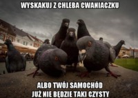 Wyskakuj z chleba cwaniaczku :)