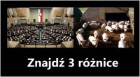 3 różnice