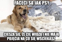 Faceci są jak psy