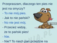 Facet w końcu nie wytrzymał XD HAHA DOBRE