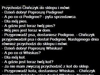 Przychodzi chińczyk do sklepu i chce kupić karme :D