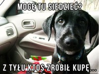 Mogę tu siedzieć