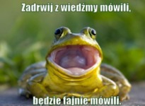 nie drwij