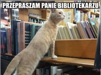 Tymczasem w bibliotece XD