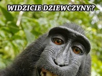 Prawda że lepiej!