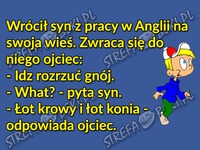 Kawał dnia! Syn wraca z Anglii i nie zna polskiego XD HAHA