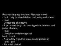 Latał latał i wylatał XD sprawdź koniecznie jak to się skończyło!