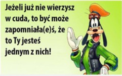 Jeżeli już nie wierzysz w cuda