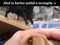 szczegóły