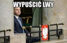 wypuścić lwy!