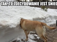 Tak to śnieg