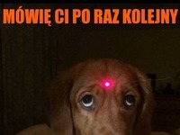 NIE ROZUMIESZ?