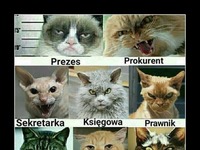Najlepszy jest Pan Prezes XD