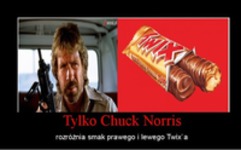 Tylko Chuck Norris