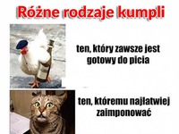 Różne rodzaje KUMPLI! Masz takich? ;)