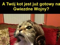 Przygotowany XD