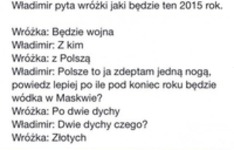 Władimir pyta wróżki jaki będzie ten 2015 rok :D