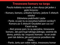 Dowcip dnia! Padniesz ja zobaczysz do czego był tresowany komar XD beka