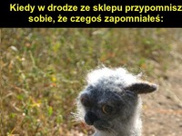 Znowu zapomniałem