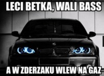 Leci betka