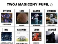 Jaki jest Twój magiczny pupil? :D