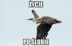 Życie po ślubie