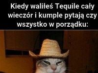 Jakbym widział siebie XD