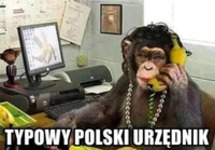 Typowy polski urzędnik