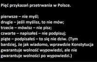 Pięć przykazań przetrwania w Polsce. :-)