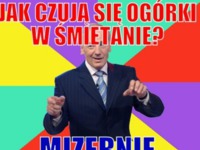 Ogórki w śmietanie