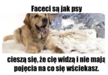 Facet jest jak pies