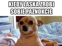 paznokcie