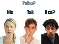 Palisz?