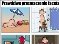 przeznaczenie faceta