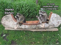 Cholera, więcej nie ćpię