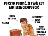 Opuszcza Cię