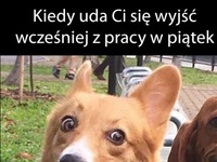 Kiedy sie uda