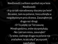 Niedzwiedz z wilkiem spotkali się w lesie :D