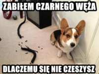 Zabiłem czarnego węża :D