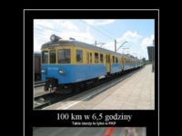 PKP 100 km pociągiem w  6,5 godziny! ZOBACZ w ile czasu przebiegł taki dystans JAPOŃCZYK! MASAKRA :D