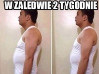 w zaledwie 2 tygodnie!