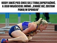 Kiedy jakiś pies chce się z tobą zaprzyjaźnić