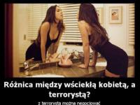 Wściekła kobieta vs terrorysta :D