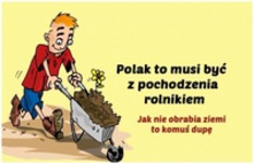 polak musi