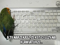 Nadal będziesz narzekać