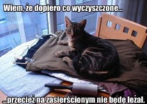 Wiem, że wyczyszczone