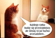no trochę